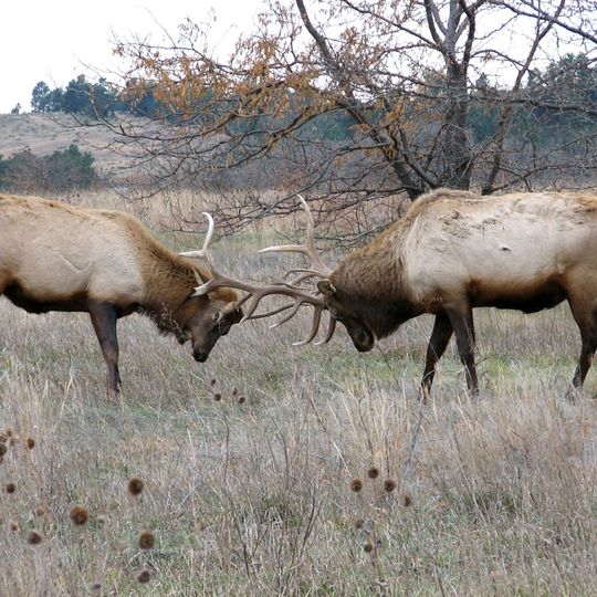 Fort Niobrara National Wildlife Refuge