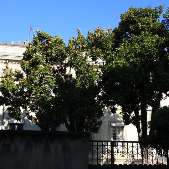 Hôtel de Flore, 22 rue Chevreul, 15 rue des Cordeliers