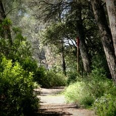 Ecomuseum of the Mediterranean forest