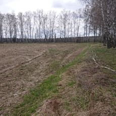 Редут западный (Тарутино)