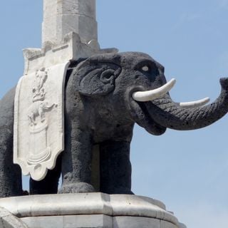 Fontana dell'Elefante