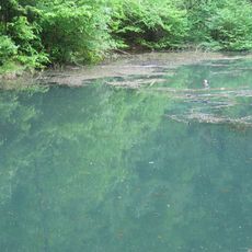 Grüner See