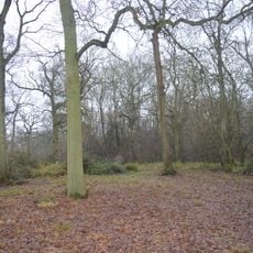 Perry Woods