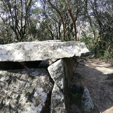 Poblat ibèric de Castellruf