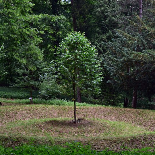 Stiftspark Lilienfeld