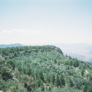 Mount Logan Wilderness