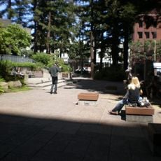 Transamerica Redwood Park