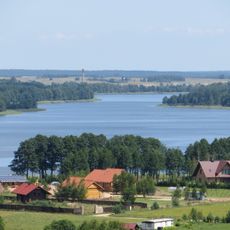 Galuonai