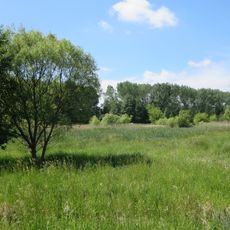 Bogenseekette und Lietzengrabenniederung