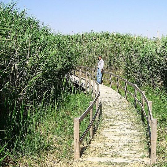 Rezerwat przyrody Shaumari