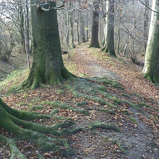 Braunschweiger Landwehr