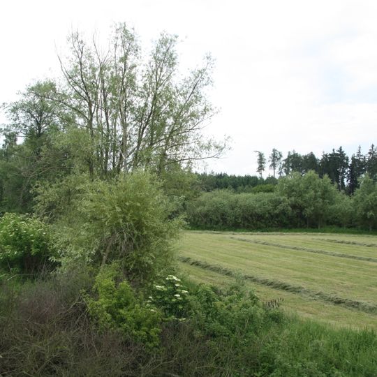 Maršovec a Čepička