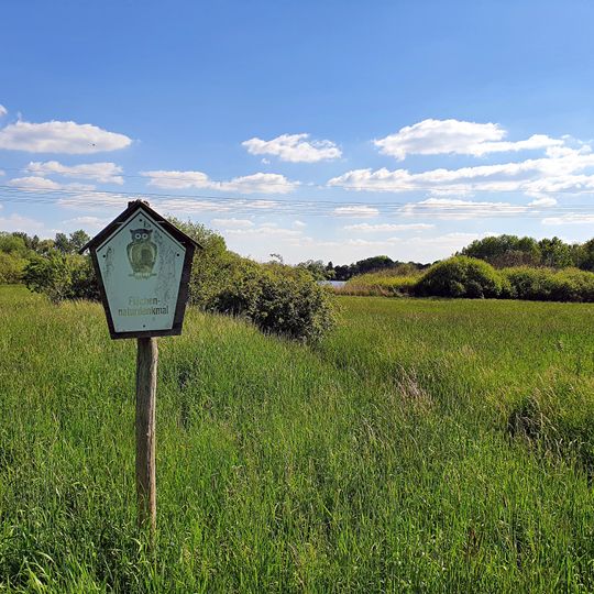 Seggenwiese am Müncherteich