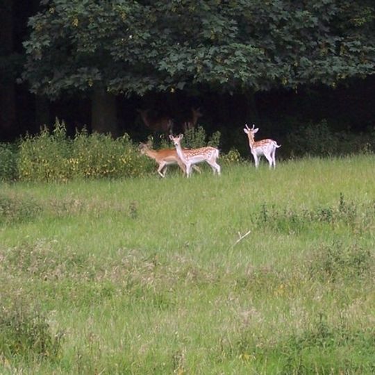 Ebberston and Yedingham