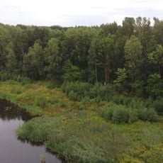 Ufergehölze am Stau VEG Obstbau (Speicher Sahnbach)