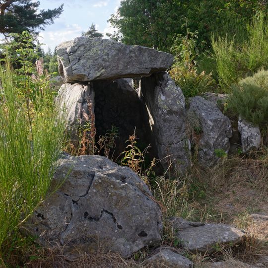 Dolmen des Baumes