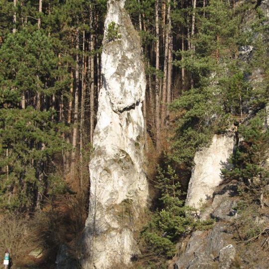 Poluvsianska skalná ihla