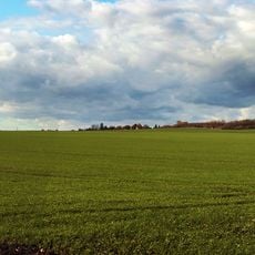 Henneberg