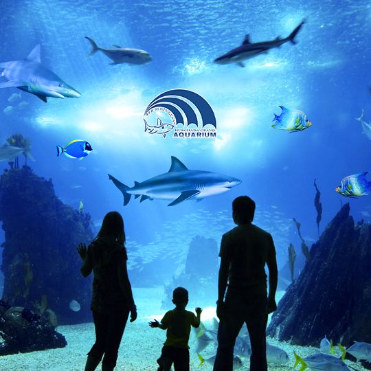 Hurghada Grand Aquarium