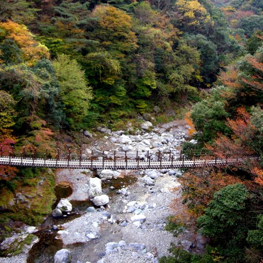 Shin Mominoki Suspension Bridge