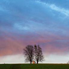 "4 Kapellenlinden" bei der Maria Hilf Kapelle