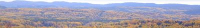 Panoramic View 0