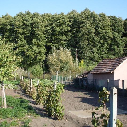 Erdőteleki Alder Bog Wood Protected Area