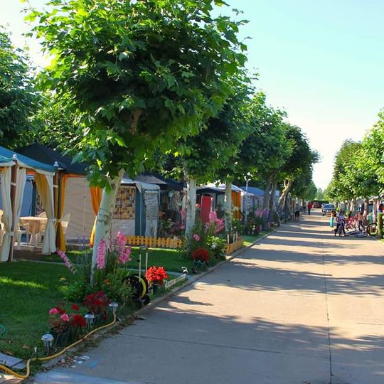 Camping de Carrizo de la Ribera