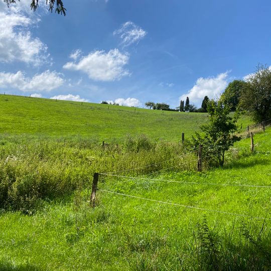 NSG Wickesberger Bachtal und Seitenbaeche