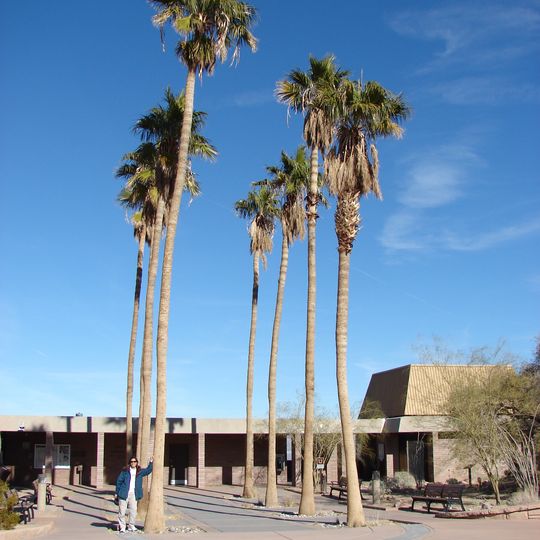 Alan Bible Visitor Center