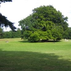 Beijers Park