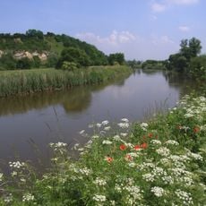 Jestädter Weinberg / Werraaltarm u. -aue bei Albungen