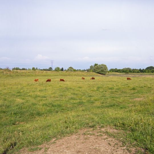 Falkenberger Rieselfelder