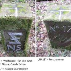 13 neu