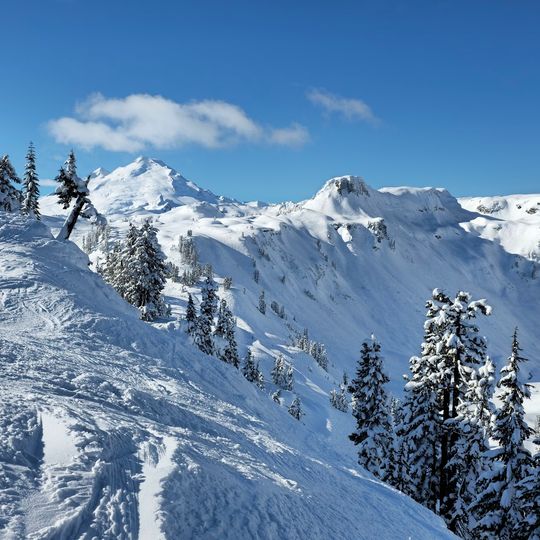 Mt. Baker Ski Area