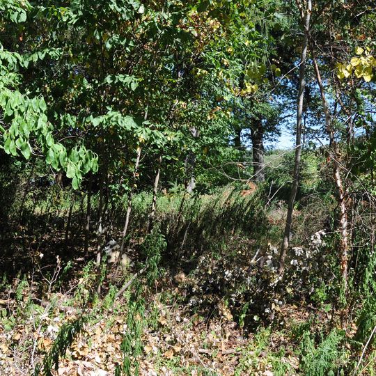 Reaction Motors Rocket Test Facility