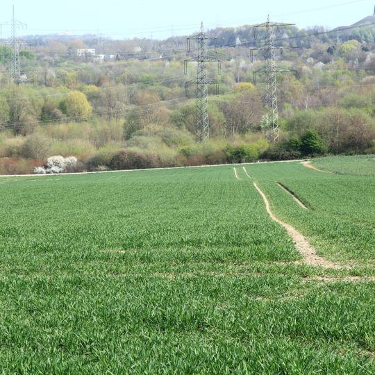 Landschaftspark Mechtenberg