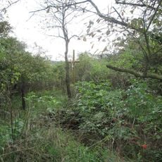 Kříž v lesíku u Tlumačova