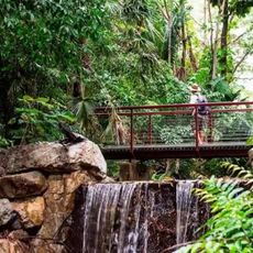 George Brown Darwin Botanic Gardens