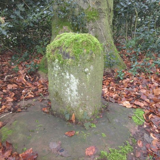Remains Of Cross At Sj 988 532