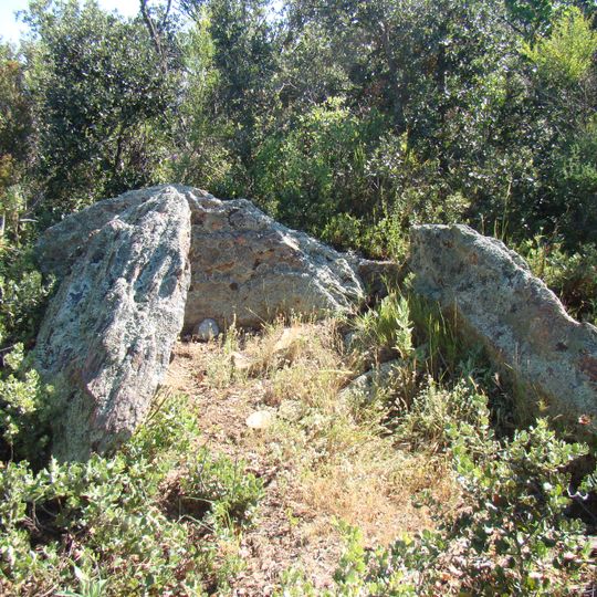 Dolmen de Valltorta