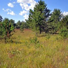 Dunnville Barrens State Natural Area