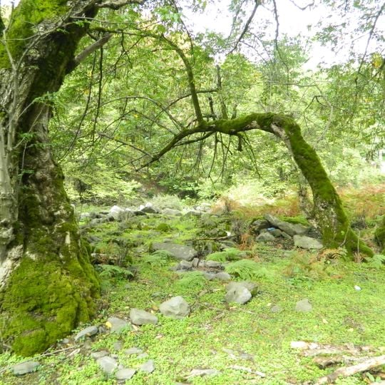 Reserva estatal Zakatala