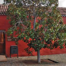 La Casa del Vino La Baranda