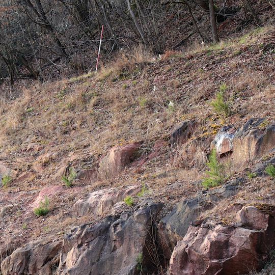 Sandsteinaufschluss NW von Schloß Mespelbrunn
