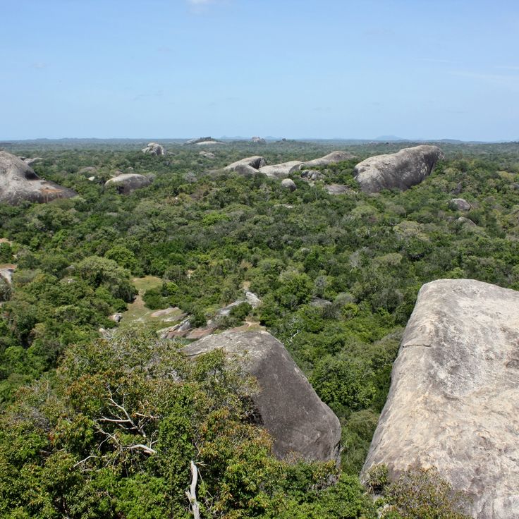 Kumana-Nationalpark