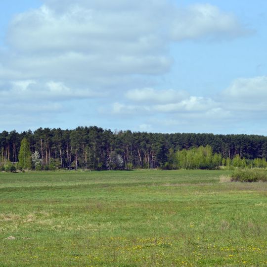 Kulchynska sosnyna reserve