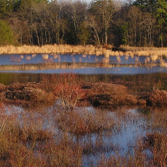 Double Trouble State Park