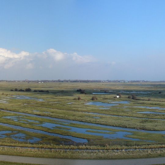Yerseke