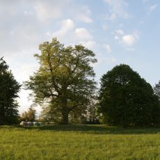 Winterlinden von Langwaden